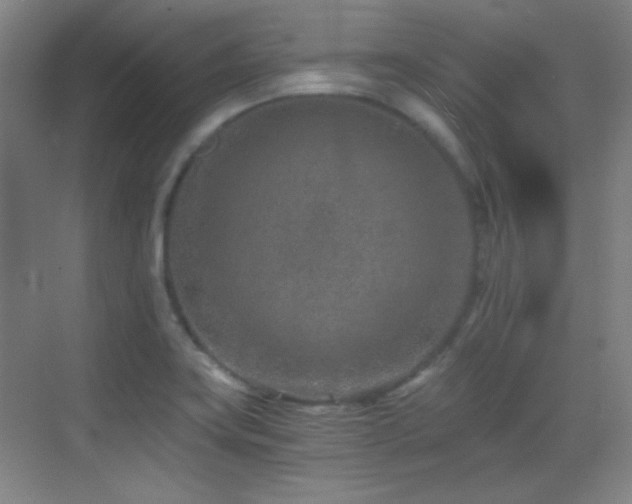 X0000069831419200605191128