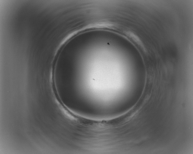 X0000069831420200605191128