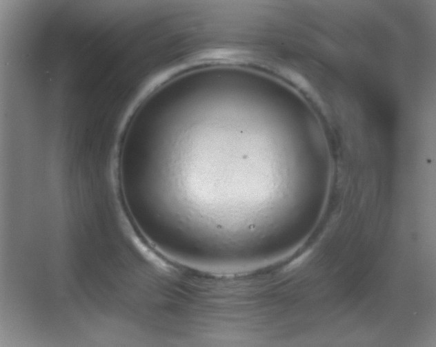 X0000069831421200605191128