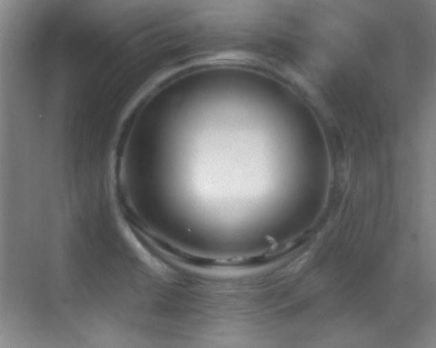 X0000069831422200605191128