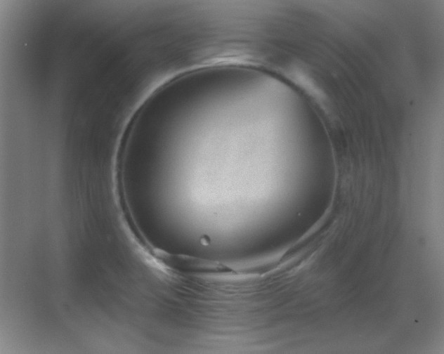 X0000069831423200605191128