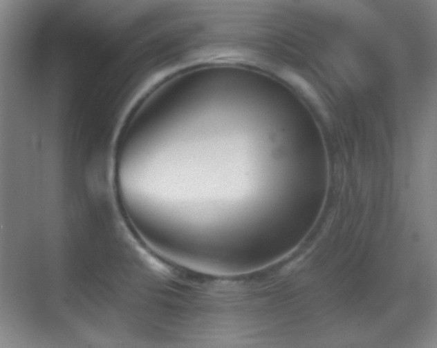 X0000069831424200605191128