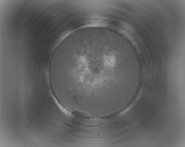 X0000069831425200605191128