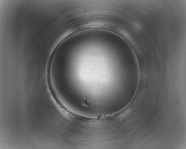 X0000069831426200605191128