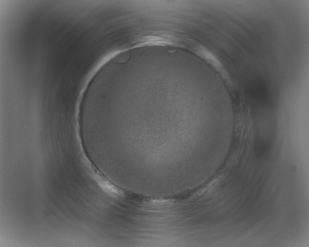 X0000069831427200605191128