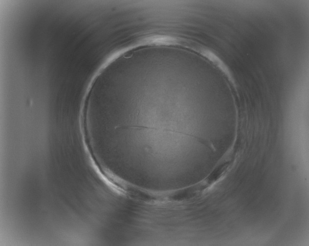 X0000069831429200605191128