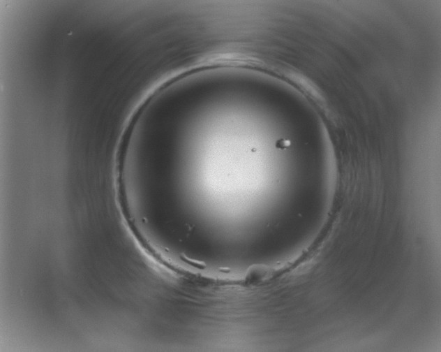 X0000069831430200605191128