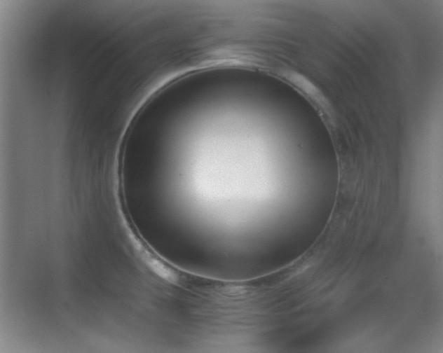 X0000069831431200605191128