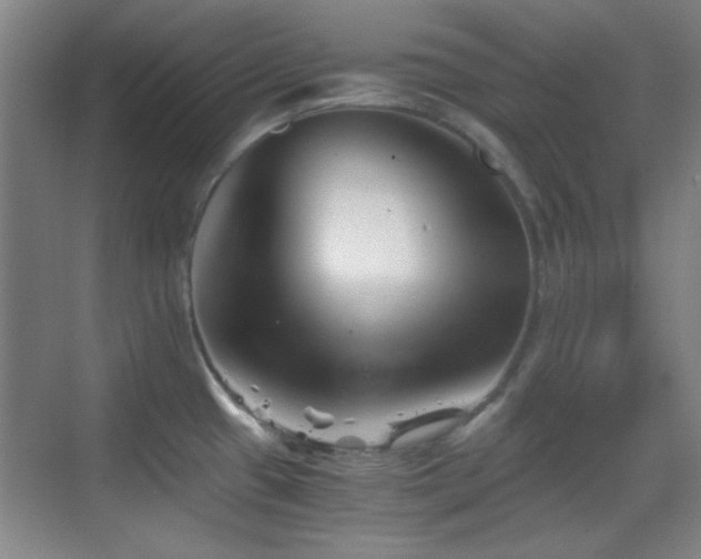 X0000069831433200605191128