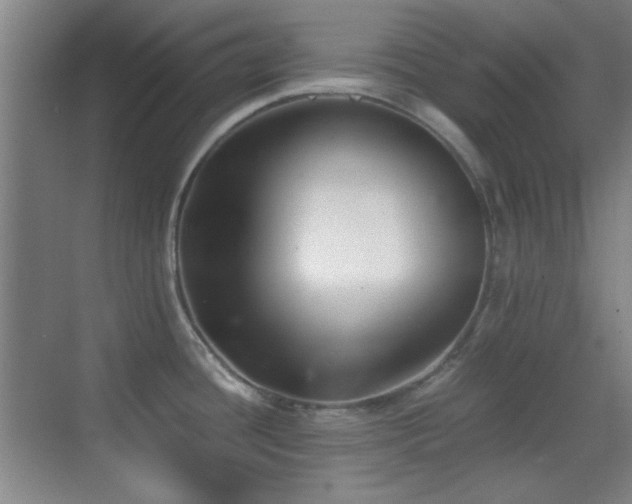 X0000069831436200605191128