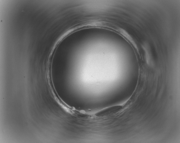 X0000069831437200605191128