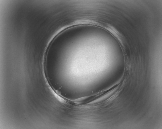 X0000069831438200605191128