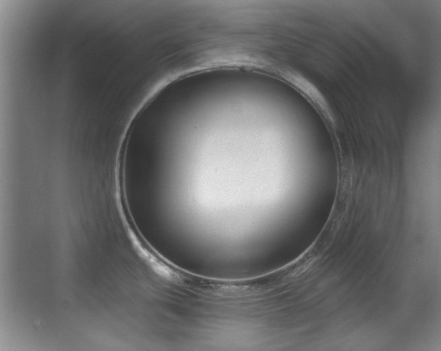 X0000069831439200605191128