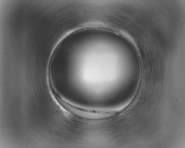 X0000069831440200605191128