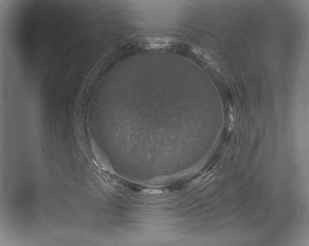 X0000069831441200605191127