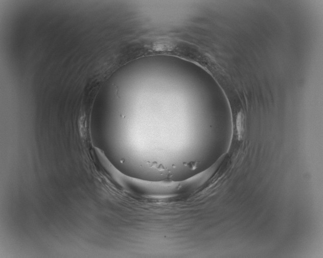 X0000069831443200605191127