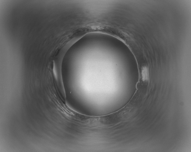 X0000069831444200605191127