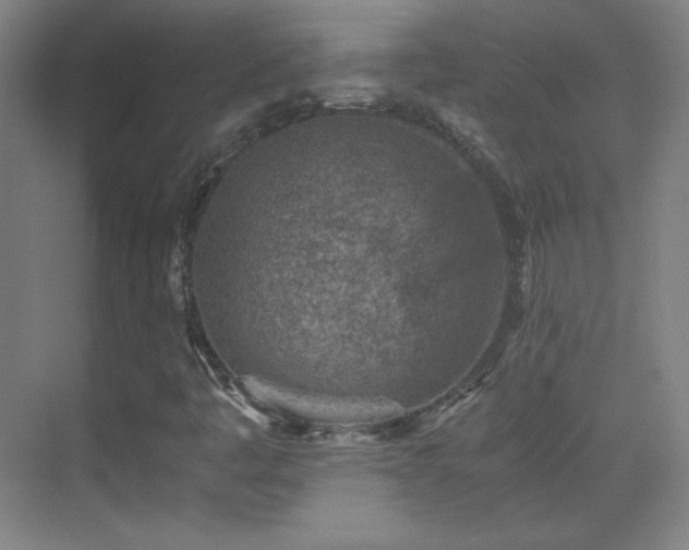 X0000069831445200605191127