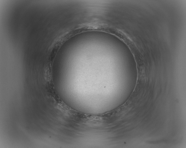 X0000069831446200605191127