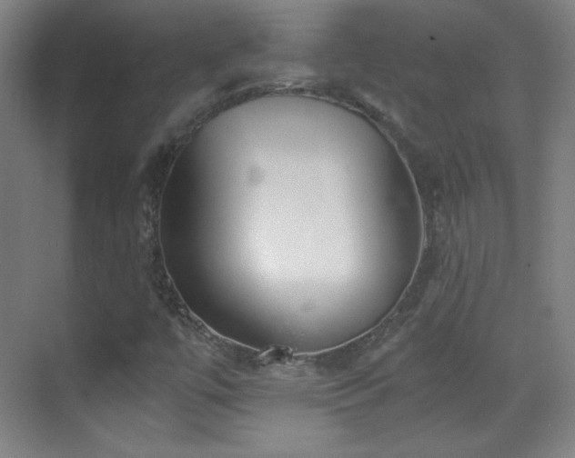 X0000069831447200605191127