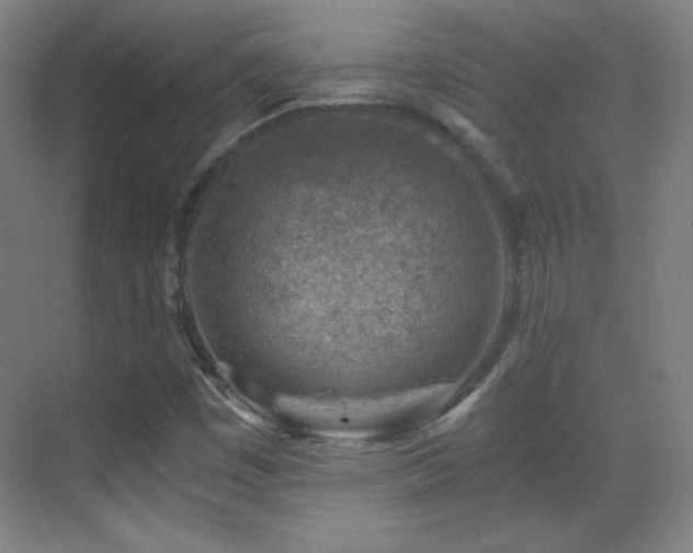 X0000069831449200605191127