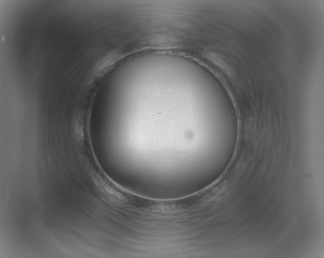 X0000069831451200605191127