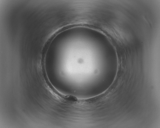 X0000069831452200605191127