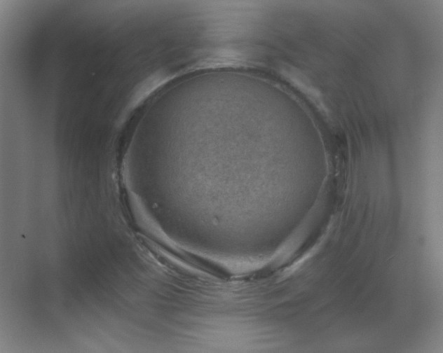 X0000069831453200605191127