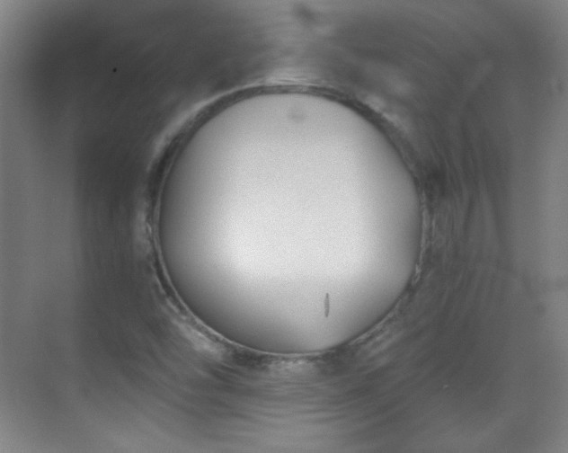 X0000069831454200605191127