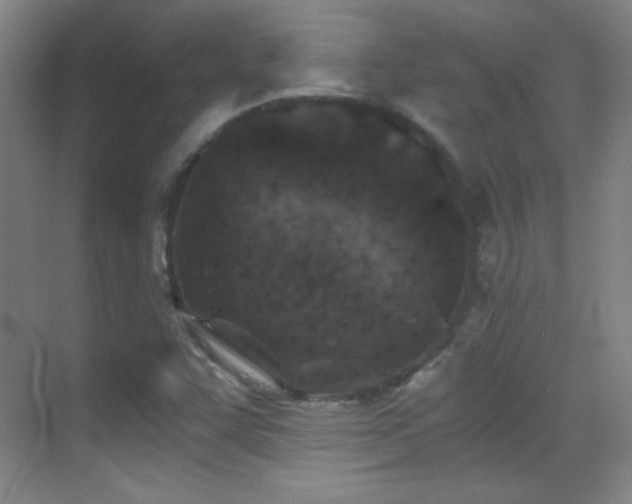 X0000069831455200605191127