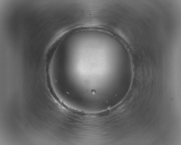 X0000069831456200605191127