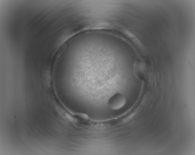 X0000069831457200605191127