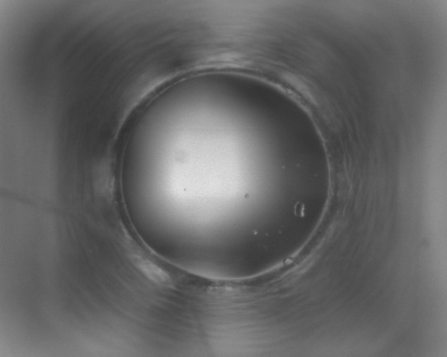 X0000069831458200605191127