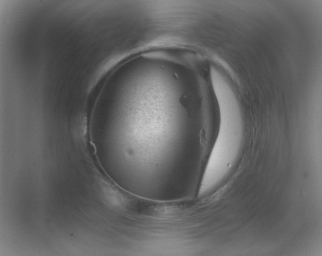 X0000069831461200605191127