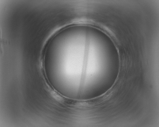 X0000069831462200605191127