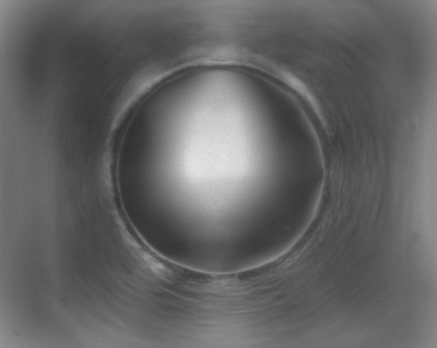 X0000069831464200605191127