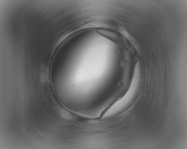 X0000069831465200605191127