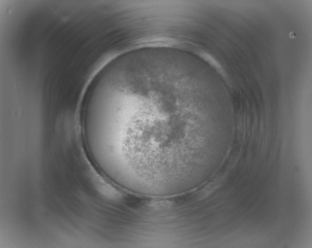 X0000069831466200605191127