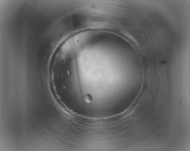 X0000069831467200605191127