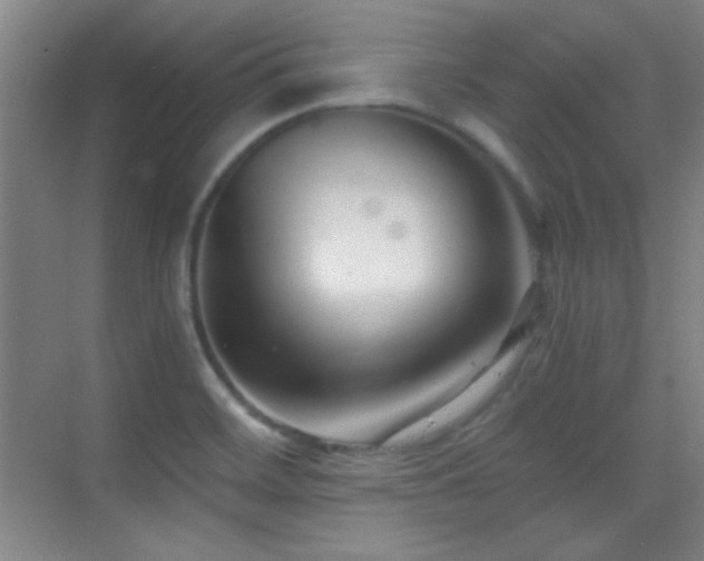 X0000069831468200605191127