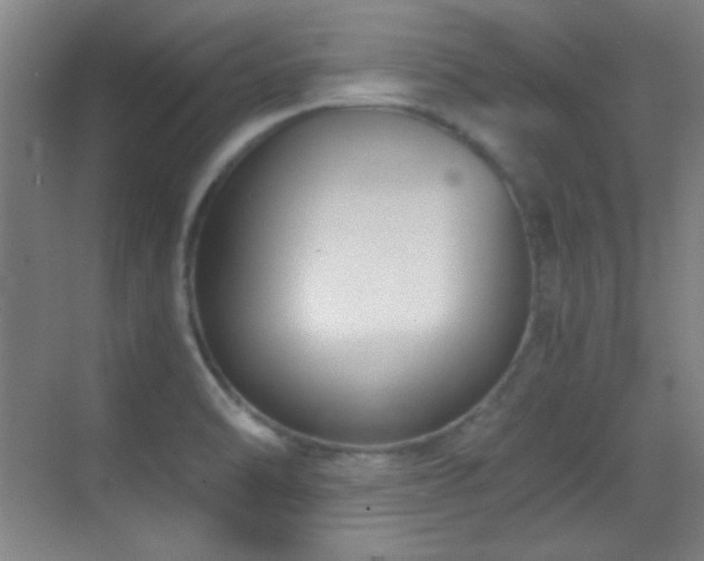 X0000069831470200605191127