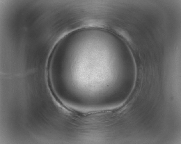 X0000069831471200605191127