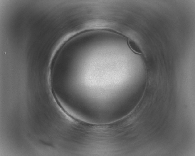 X0000069831472200605191127