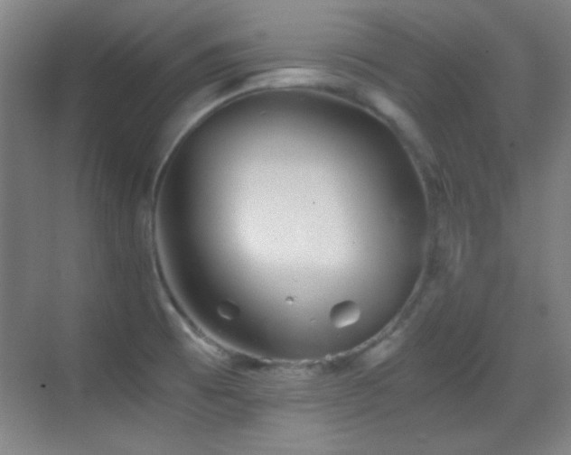 X0000069831473200605191127