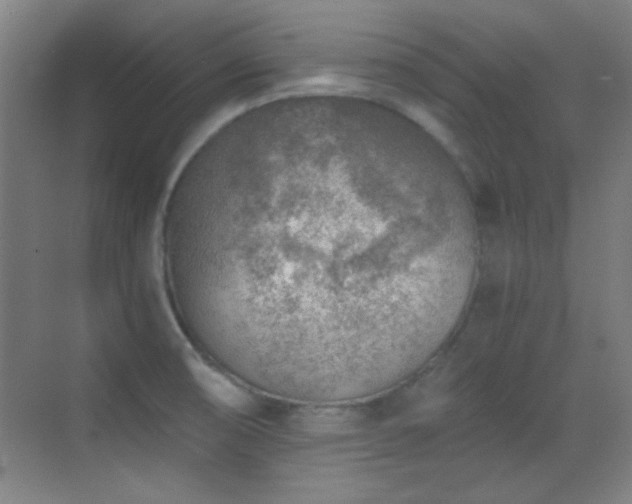 X0000069831474200605191127