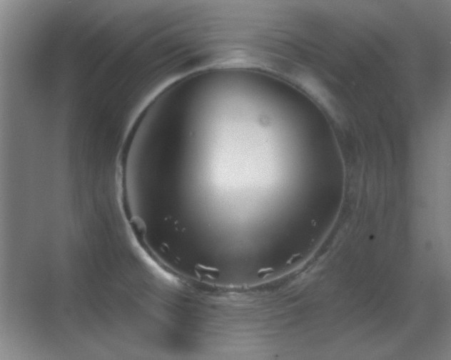 X0000069831476200605191127