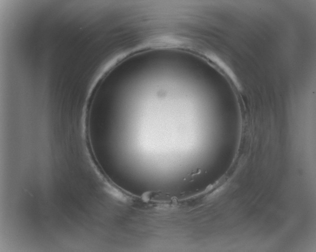 X0000069831477200605191127