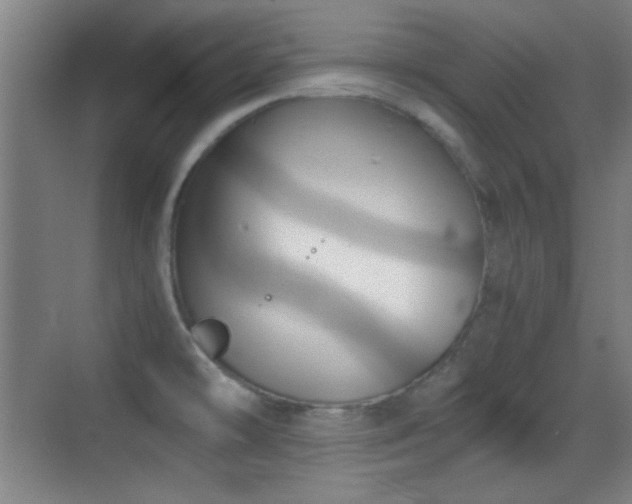 X0000069831478200605191127