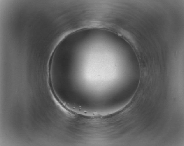 X0000069831479200605191127