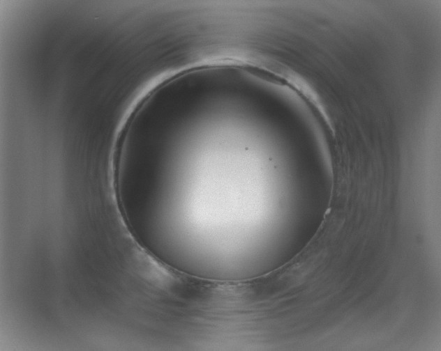 X0000069831480200605191127